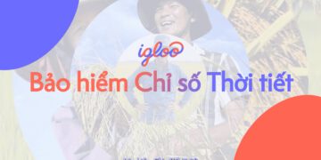 39 hộ nông dân ở An Giang đủ điều kiện để nhận tiền hỗ trợ từ Bảo hiểm Chỉ số Thời tiết sau đợt mưa lớn tháng 5