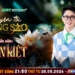 Quản Trị Hiệu Suất Cá Nhân: Kỹ Nghệ “Xử Lý Đa Nhiệm” Và Chiến Lược Tái Định Vị Thương Hiệu Của Diễn Viên Tuấn Kiệt