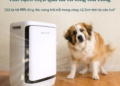 Levoit ra mắt Máy lọc không khí Levoit Vital Pet Pro – giải pháp thông minh dành cho nhà nuôi thú cưng