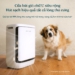 Levoit ra mắt Máy lọc không khí Levoit Vital Pet Pro – giải pháp thông minh dành cho nhà nuôi thú cưng