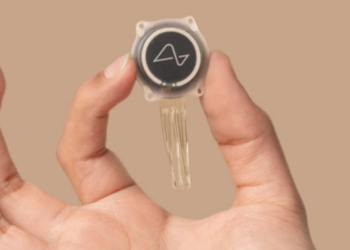 Chip não Neuralink Blindsight vượt mốc thử nghiệm then chốt khi truyền hình ảnh số trực tiếp vào vỏ não thị giác