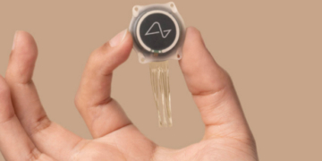 Chip não Neuralink Blindsight vượt mốc thử nghiệm then chốt khi truyền hình ảnh số trực tiếp vào vỏ não thị giác