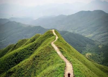 Tối ưu hóa hành trình trekking biên giới Bình Liêu tháng 10 với bản đồ địa hình số và kinh nghiệm săn ảnh mùa cỏ lau