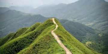 Tối ưu hóa hành trình trekking biên giới Bình Liêu tháng 10 với bản đồ địa hình số và kinh nghiệm săn ảnh mùa cỏ lau
