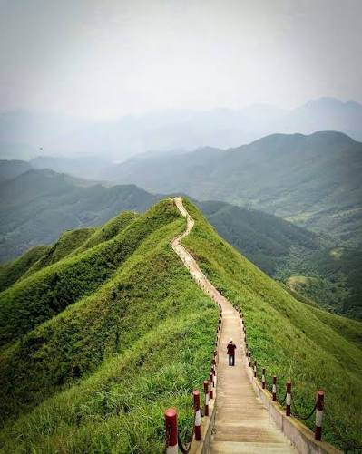 Tối ưu hóa hành trình trekking biên giới Bình Liêu tháng 10 với bản đồ địa hình số và kinh nghiệm săn ảnh mùa cỏ lau