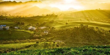 Tận dụng khí hậu cao nguyên Mộc Châu tháng 10 tối ưu hóa kỳ nghỉ dưỡng kết hợp làm việc từ xa bằng giải pháp số