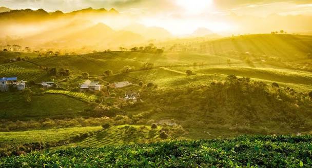 Tận dụng khí hậu cao nguyên Mộc Châu tháng 10 tối ưu hóa kỳ nghỉ dưỡng kết hợp làm việc từ xa bằng giải pháp số