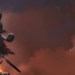 Bài học từ nửa triệu bản Fatekeeper trên Steam: Khi game nhập vai của nhóm 13 người đánh bại công thức AAA giá 70 USD