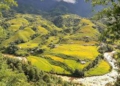 Bản hòa ca sương mây và sắc vàng Mường Hoa tháng 10 khắc họa nét thơ mộng trầm mặc của phố núi Sapa