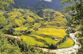 Bản hòa ca sương mây và sắc vàng Mường Hoa tháng 10 khắc họa nét thơ mộng trầm mặc của phố núi Sapa