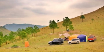 Đồi Phượng Hoàng Quảng Ninh thành điểm trekking mùa cỏ cháy, kinh nghiệm chuẩn bị thiết bị số và cắm trại an toàn