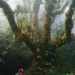 Đỉnh Samu mở mùa trekking rừng rêu nguyên sinh 2.756m tại Háng Đồng, thu hút giới trẻ săn mây Tây Bắc