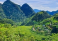 Sắc vàng thung lũng và nhịp quay cọn nước Pù Luông tháng 10 kiến tạo không gian nghỉ dưỡng sinh thái nguyên bản giữa núi rừng xứ Thanh